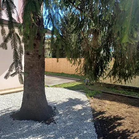 La Favola A Rovescio * Camaiore